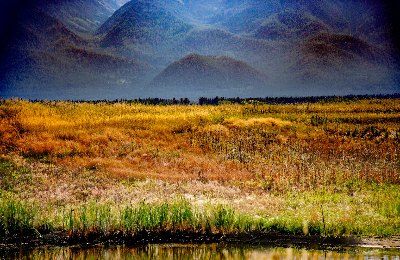 巢湖农村365，镜头里的四季烟火与乡土情深